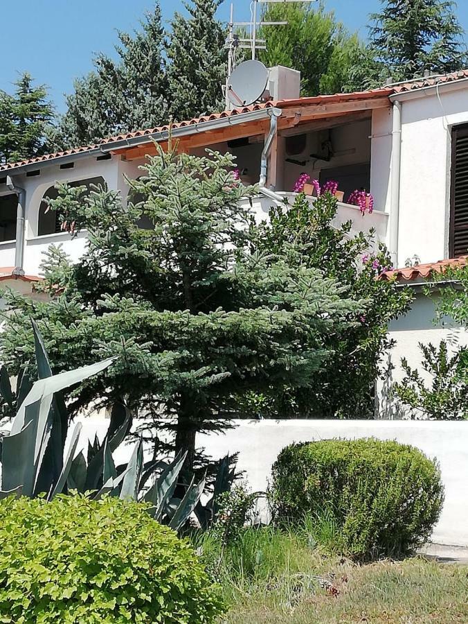 ברבריגה Apartment Enis מראה חיצוני תמונה